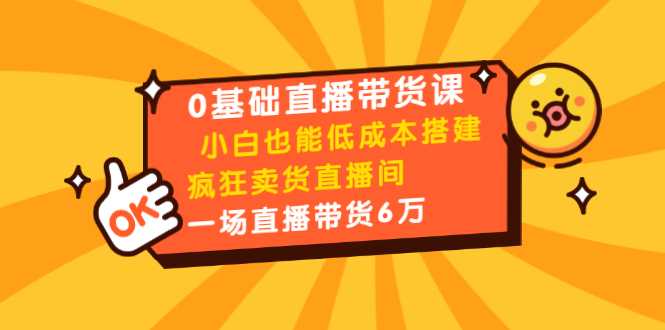图片[1]-0基础直播带货课：小白也能低成本搭建疯狂卖货直播间：1场直播带货6万-来缘阁