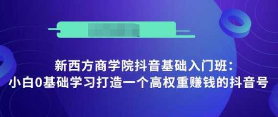 抖音基础入门班：小白0基础学习打造一个高权重赚钱的抖音号-来缘阁