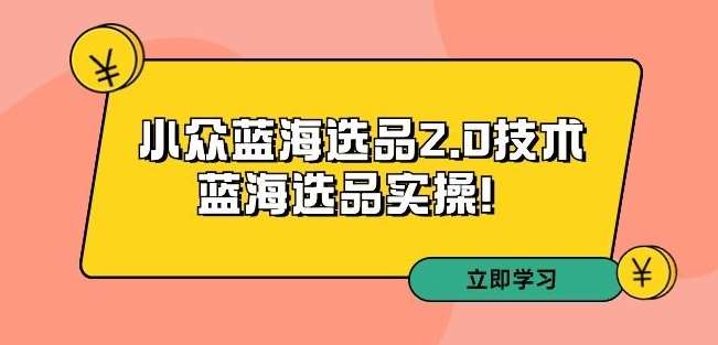 拼多多培训第33期：小众蓝海选品2.0技术-蓝海选品实操！-来缘阁