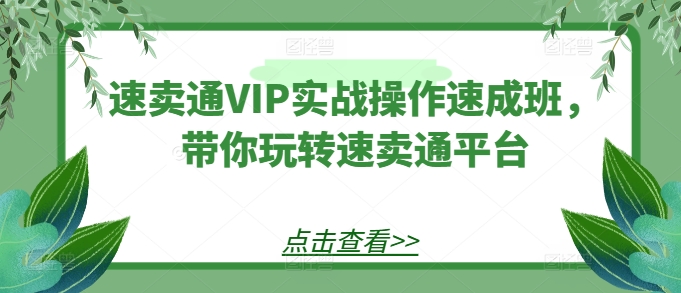 速卖通VIP实战操作速成班，带你玩转速卖通平台-来缘阁