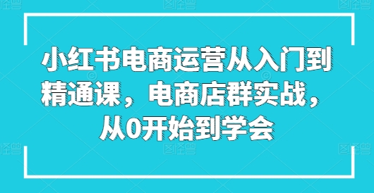 小红书电商运营从入门到精通课，电商店群实战，从0开始到学会-来缘阁
