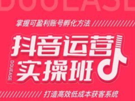 抖音运营实操班，掌握可盈利账号孵化方法，打造高效低成本获客系统-来缘阁