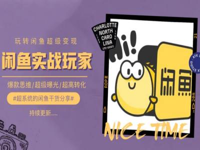 手把手教你0到1系统玩转闲鱼变现，爆款思维/超级曝光/超高转化-来缘阁