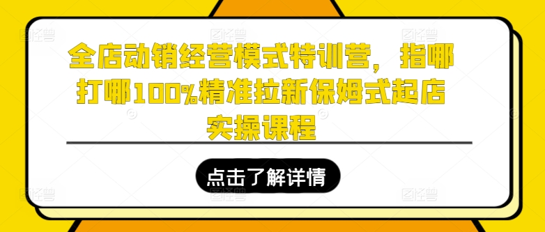 全店动销经营模式特训营，指哪打哪100%精准拉新保姆式起店实操课程-来缘阁