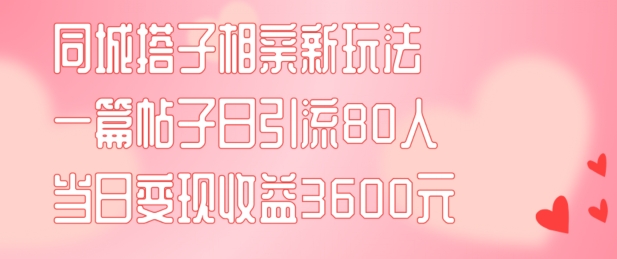 同城搭子相亲新玩法一篇帖子引流80人当日变现3600元(项目教程+实操教程)-来缘阁