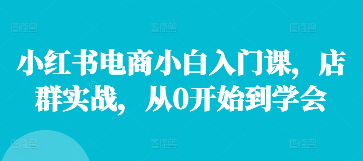 小红书电商小白入门课，店群实战，从0开始到学会-来缘阁