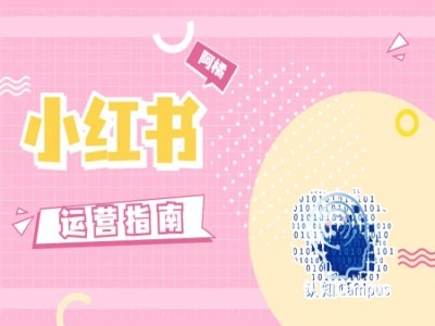小红书运营指南，没有套路，全是经验-来缘阁