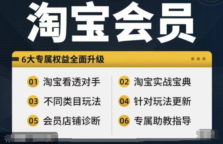 淘宝会员【淘宝所有课程，全面分析对手】，初级到高手全系实战宝典-来缘阁