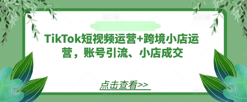 TikTok短视频运营+跨境小店运营，账号引流、小店成交-来缘阁