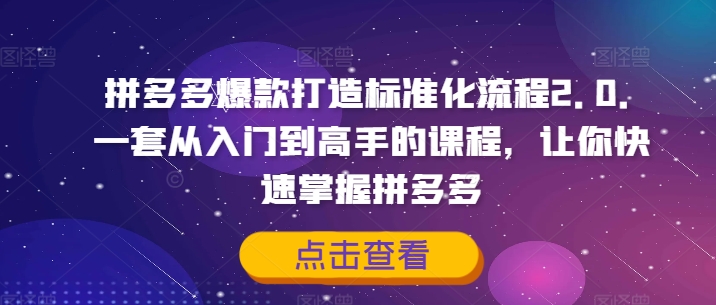 拼多多爆款打造标准化流程2.0，一套从入门到高手的课程，让你快速掌握拼多多-来缘阁