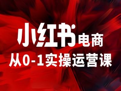 小红书电商从0-1实操运营课，让你从小白到精英-来缘阁