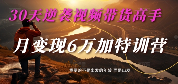 30天逆袭视频带货高手，单月变现6万加特训营-麦子甜-来缘阁
