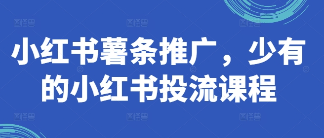 小红书薯条推广，少有的小红书投流课程-来缘阁