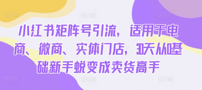 小红书矩阵号引流，适用于电商、微商、实体门店，30天从0基础新手蜕变成卖货高手-来缘阁