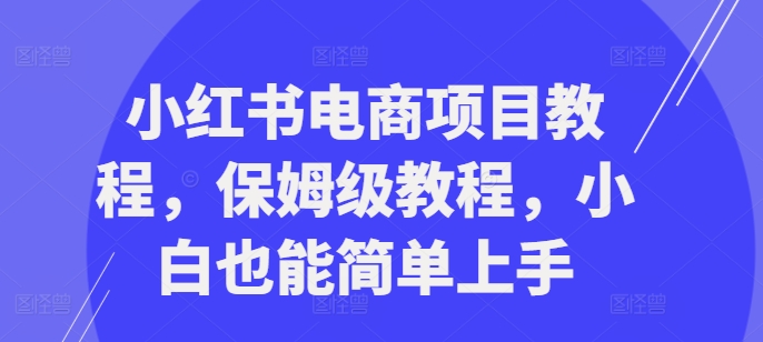 小红书电商项目教程，保姆级教程，小白也能简单上手-来缘阁