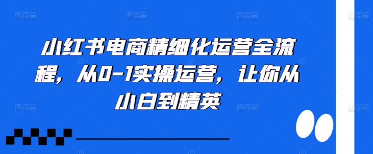 小红书电商精细化运营全流程，从0-1实操运营，让你从小白到精英-来缘阁