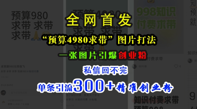 小红书“预算4980带我飞”图片打法，一张图片引爆创业粉，私信回不完，单条引流300+精准创业粉-来缘阁