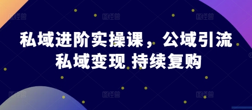 私域进阶实操课，公域引流 私域变现 持续复购-来缘阁