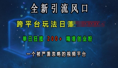 全新引流风口，跨平台玩法日入上k，单日狂揽200+精准创业粉，一个被严重忽略的视频平台-来缘阁