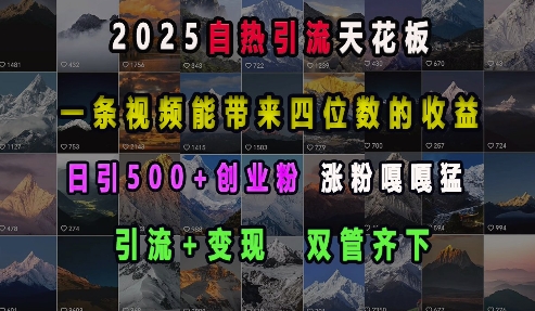 2025自热引流天花板，一条视频能带来四位数的收益，引流+变现双管齐下，日引500+创业粉，涨粉嘎嘎猛-来缘阁