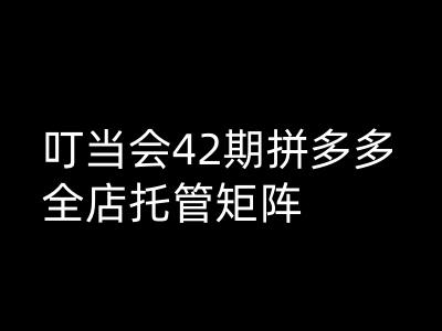 叮当会拼多多打爆班原创高阶技术第42期，拼多多全店托管矩阵-来缘阁
