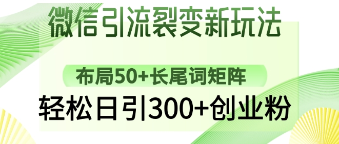 微信引流裂变新玩法：布局50+长尾词矩阵，轻松日引300+创业粉-来缘阁