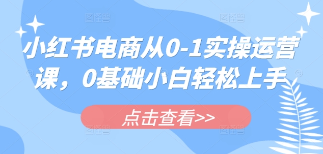 小红书电商从0-1实操运营课，0基础小白轻松上手-来缘阁