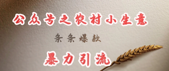 deepseek写农村小项目，条条爆款，暴力引流-来缘阁