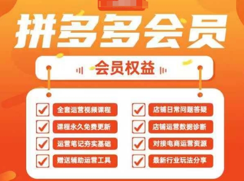 2025拼多多运营实战课，40节全流程教学，覆盖拼多多运营全链路-来缘阁