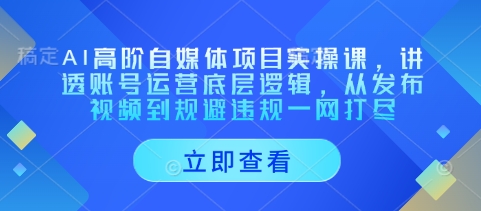 AI高阶自媒体项目实操课，讲透账号运营底层逻辑，从发布视频到规避违规一网打尽-来缘阁