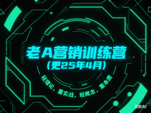 老A营销训练营(更25年4月)，轻理论，重实战，轻概念，重本质-来缘阁