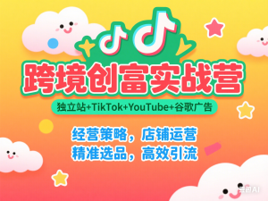 跨境创富实战营，独立站+TikTok+YouTube+谷歌广告，经营策略，店铺运营，精准选品，高效引流-来缘阁