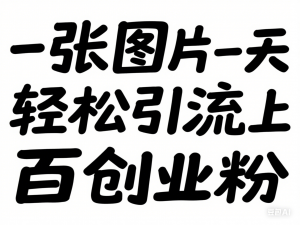 小红书模版一张图片一天轻松引流上百创业粉-来缘阁