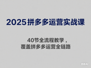 2025拼多多运营实战课，40节全流程教学，覆盖拼多多运营全链路-来缘阁