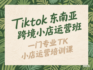 Tiktok东南亚跨境小店运营班，一门专业的TK小店运营培训课-来缘阁