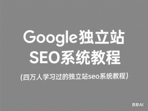 Google独立站SEO系统教程，四万人学习过的独立站seo系统教程-来缘阁