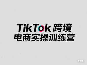 TikTok跨境电商实操训练营，tiktok跨境电商教程-来缘阁