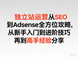 独立站运营从SEO到Adsense全方位攻略，从新手入门到进阶技巧，再到高手经验分享-来缘阁