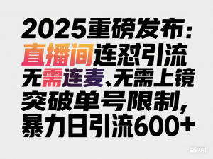 2025重磅发布：小红书直播间连怼引流，无需连麦、无需上镜，突破单号限制，暴力日引流600+-来缘阁