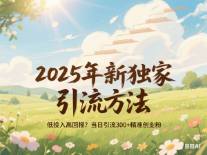 2025年最新独家引流方法，低投入高回报？当日引流300+精准创业粉-来缘阁