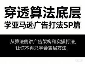 穿透算法底层，学亚马逊广告打法SP篇，从算法侧讲广告架构和实操打法，让你不再只学会表层方法-来缘阁