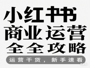 小红书商业运营全攻略，运营干货 ，新手速看-来缘阁