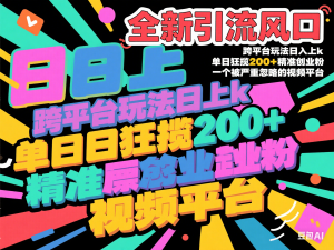 全新引流风口，跨平台玩法日入上k，单日狂揽200+精准创业粉，一个被严重忽略的视频平台-来缘阁