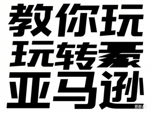 教你玩转亚马逊，跨境电商亚马逊教程，百万卖家出单宝典-来缘阁
