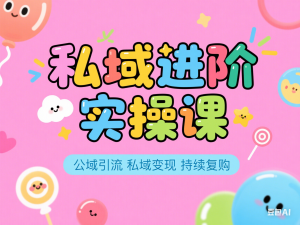 私域进阶实操课，公域引流 私域变现 持续复购-来缘阁