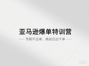 亚马逊爆单特训营，专制不出单，挑战日出千单-来缘阁
