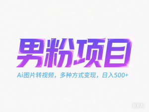 男粉项目，Ai图片转视频，多种方式变现，日入500+-来缘阁