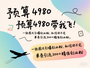 小红书“预算4980带我飞”图片打法，一张图片引爆创业粉，私信回不完，单条引流300+精准创业粉-来缘阁