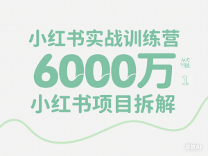 小红书实战训练营，从0到1，6000万小红书项目拆解-来缘阁