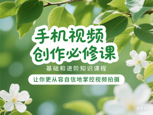 手机视频创作必修课，基础和进阶知识课程，让你更从容自信地掌控视频拍摄-来缘阁